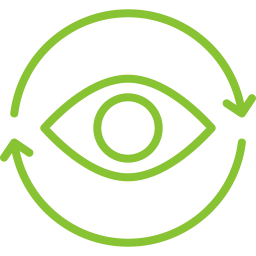 Vision